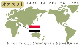 recommend イエメン モカ マタリ バニー・マタル